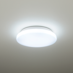 Đèn trần cỡ nhỏ NNP52600