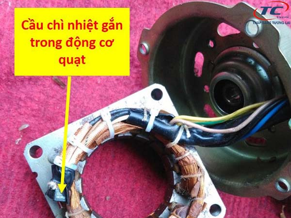 Quạt bị hỏng cầu chì